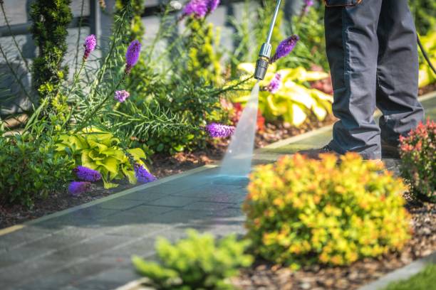 Best Paint Preparation  in Garden City, ID